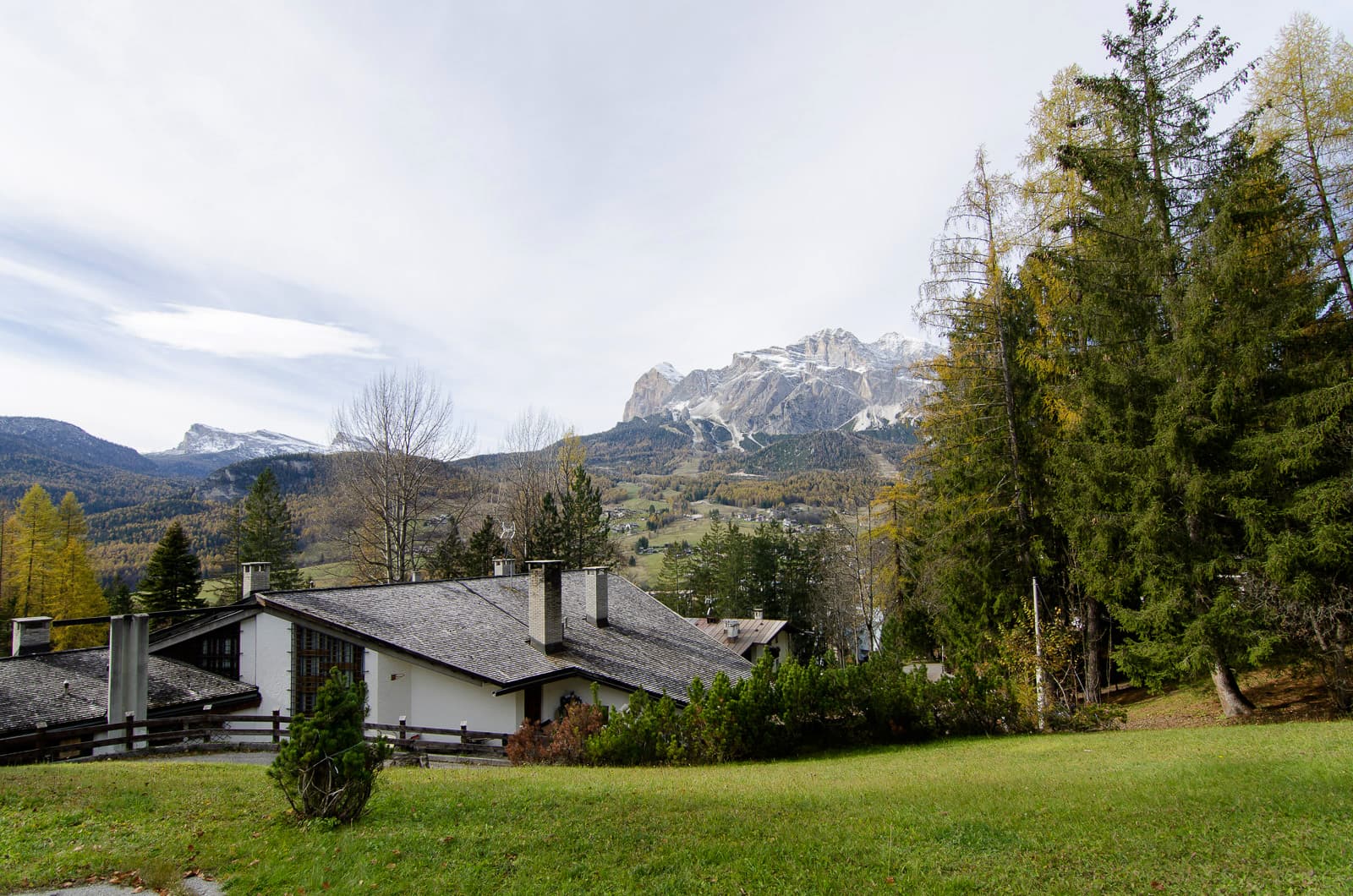Vista